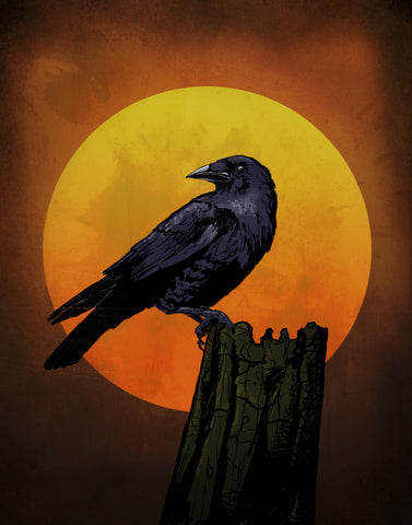 Harvest Moon Crow