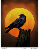 Harvest Moon Crow